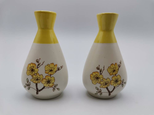 Superb Carlton Ware Yellow Mimosa Cruet Set. Salt & Pepper Pots. 1950S /60S