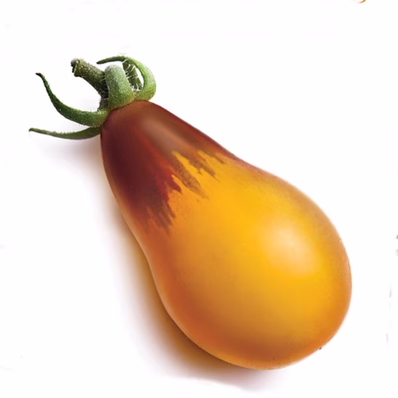 Tomato Indigo Pear Drops Seeds Heirloom Non Gmo For Planting | 204495