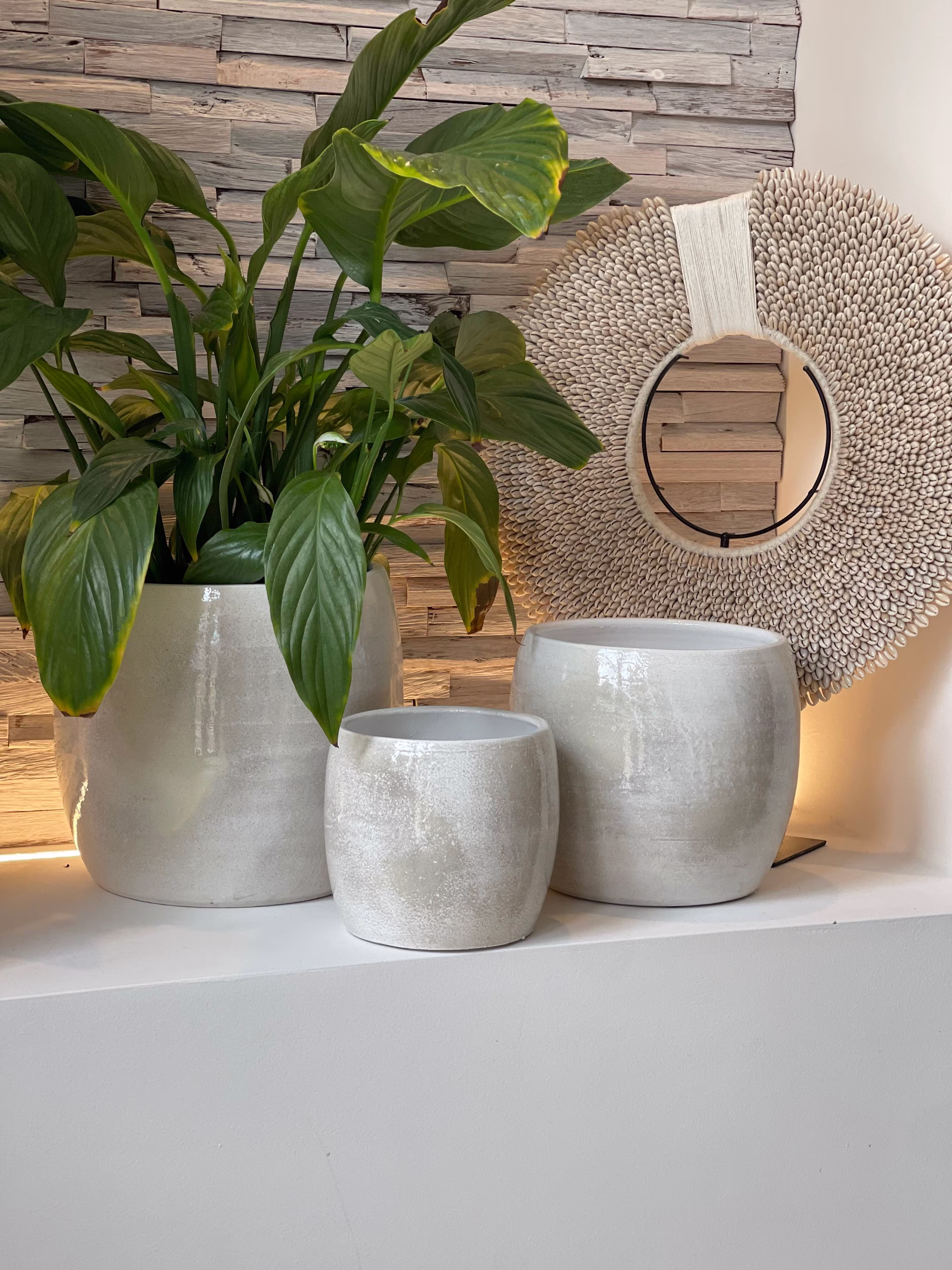 Carlo Off White & Grey Indoor Plant Pot, Large Planters, Ceramic Modern Pot