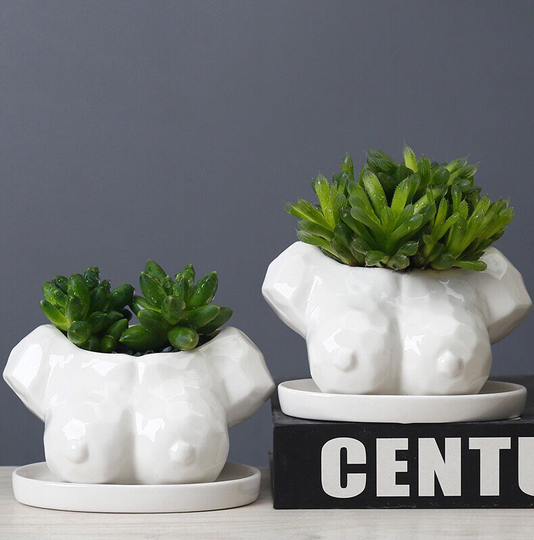 New Body Art Planter With Saucer/High Quality Ceramic Pots/ White Succulent Boobie Pots/Cactus Pot