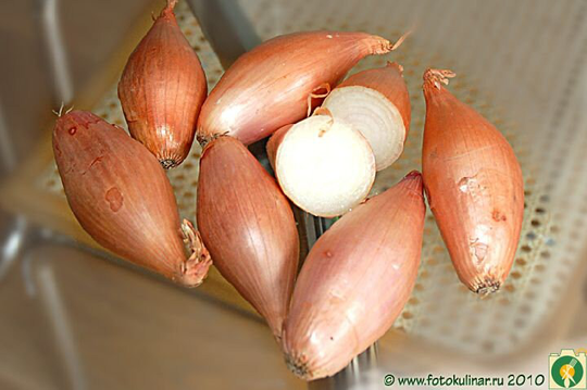 Onion Seeds Lyubchyk About 100