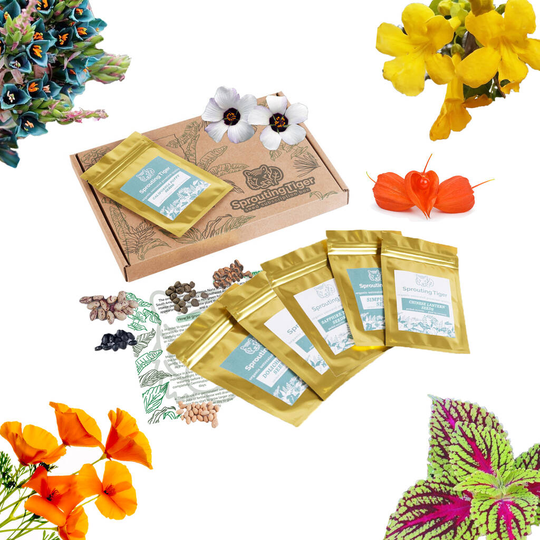Grow Your Own Tropical Flower Garden Paradise Gift Set