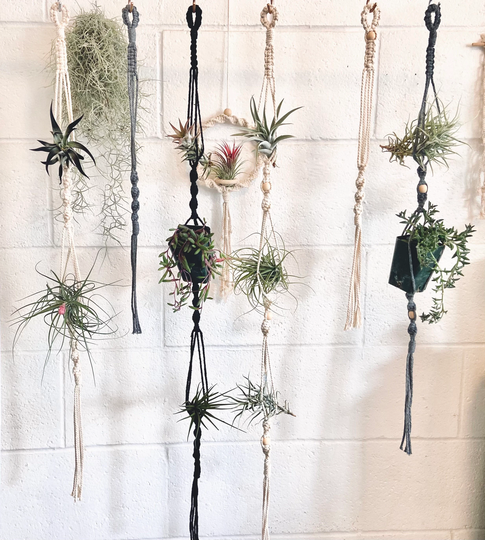 Macrame Airplant Holder/27Colors /Boho Plant Hanger Wall Hanging Planter /Air Mini Plant Hanger