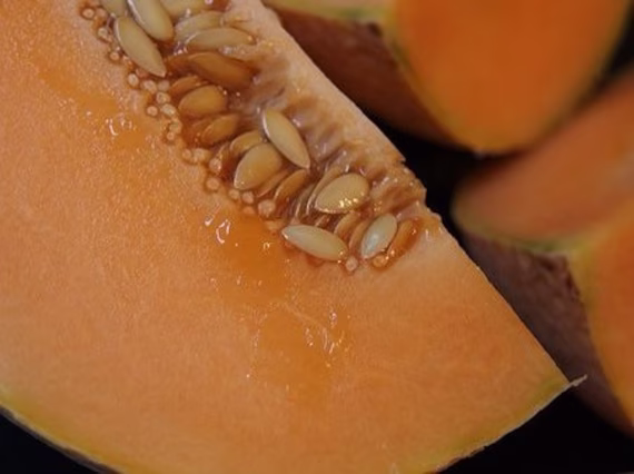 Delicious 51 Cantaloupe Melon Seed Pack - Heirloom Fruit Seeds