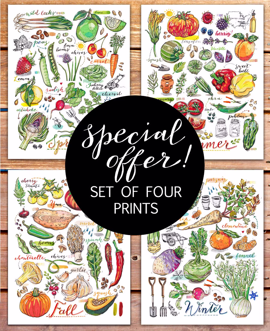 Garden Art Print Set. Kitchen Decor. Four Seasons. Food Art. Portrait. Special Offer