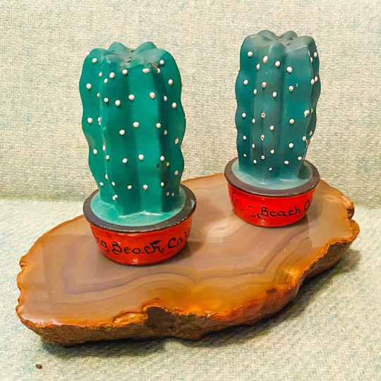 Cactus "Long Beach California