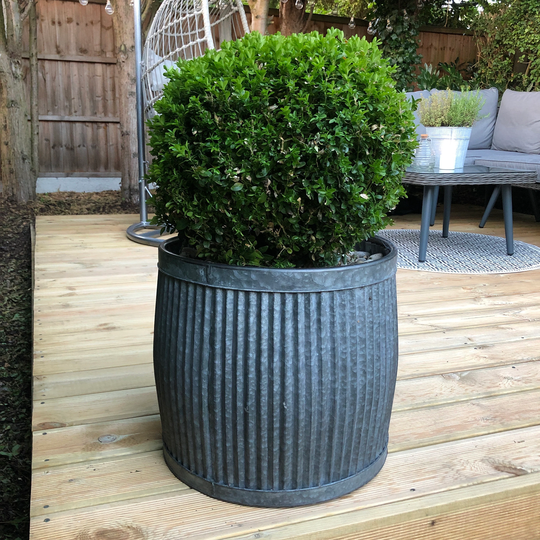 Round Dolly Tub Garden Outdoor Metal Planters Vintage Old English Period Traditional Victorian Ribbed Grey Chelsea Country