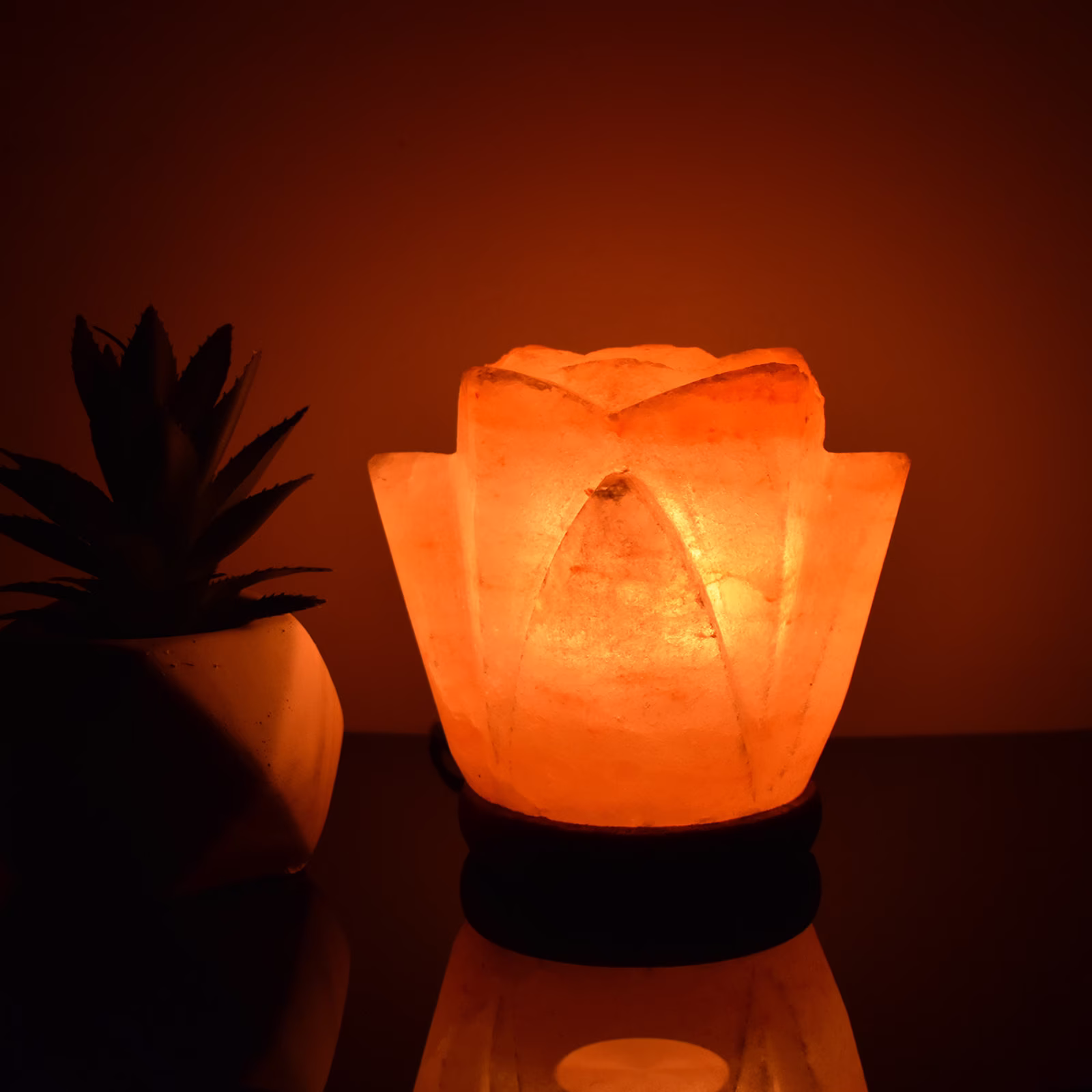 Himalayan Pink Salt Lamp Natural Hand Crafted Crystal Rock Flower 2-3Kg Mothers Day Gift