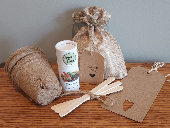 Grow Your Own Cactus - Seed-Tube | Crown Mixed