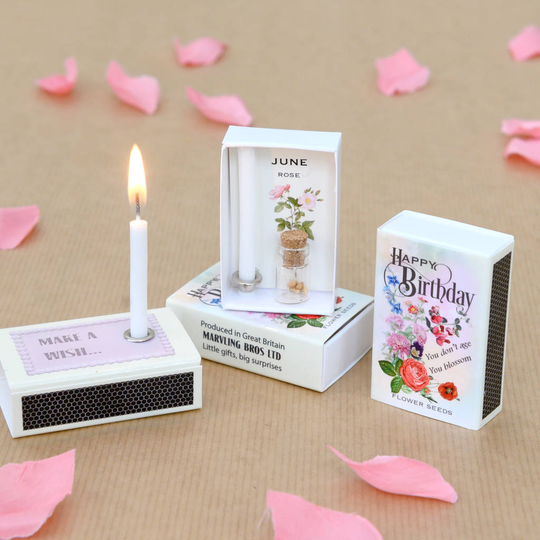 June Birth Flower Rose Seeds And Birthday Candle Gift