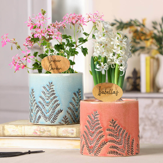 Personalised Crackle Fern Ceramic Garden Plant Pot