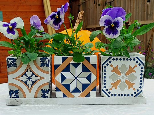 Rustic Portuguese Tiled 3 Square Pots On Tray