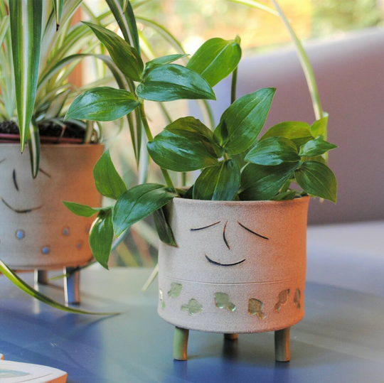 Tripod Smiley Face Planter Green Leaves Personalised