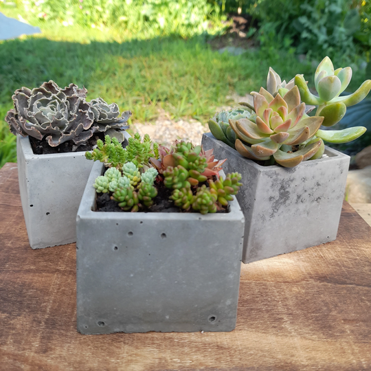 Handmade Concrete Planters | Square Succulent Trays