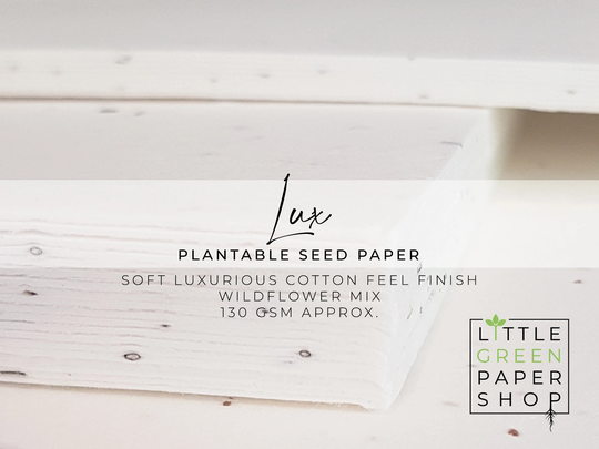 A3 130Gsm Plantable Seed Paper Lux - Flowers Eco-Friendly Biodegradable Sustainable