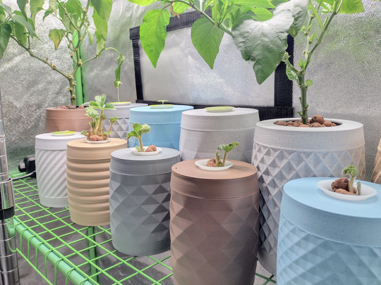 Mason Jar Hydroponics - 16Oz Sleeve
