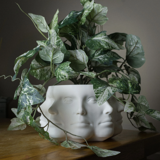 Many Faces Planter, Succulent Plant Pot, Uk, Multi-Face, Head Indoor Gift, Unique 3D Printed, Polyface, Vase