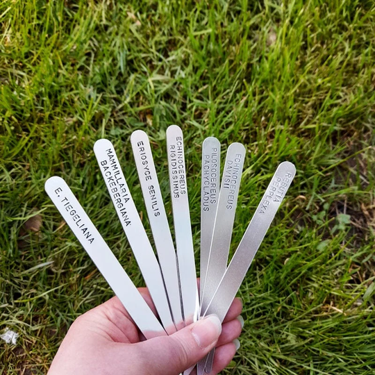 Large Plant/Veg Flower Markers - Choose Your Own Text