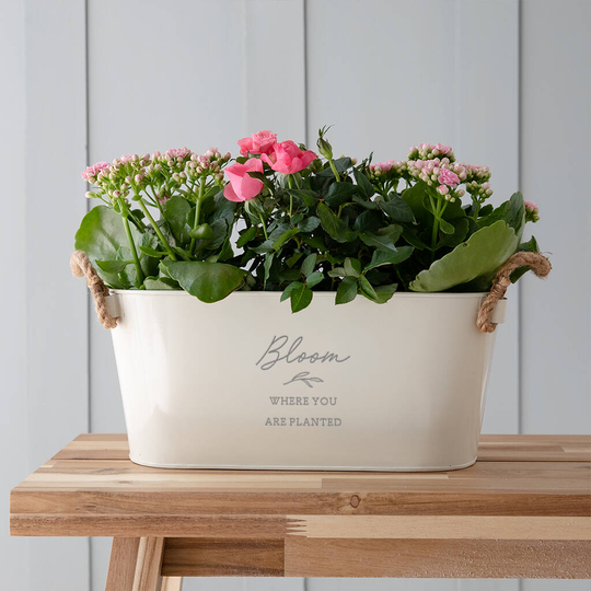 Engraved 'Bloom Where You Are Planted' Planter