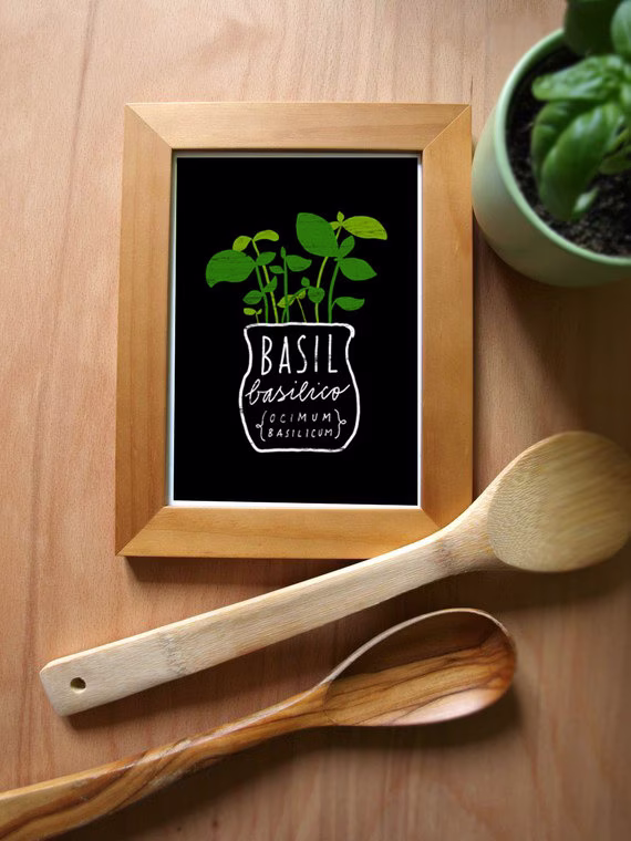 Basil Herb Print - Mediterranean Garden Art High Quality Fine Art Print