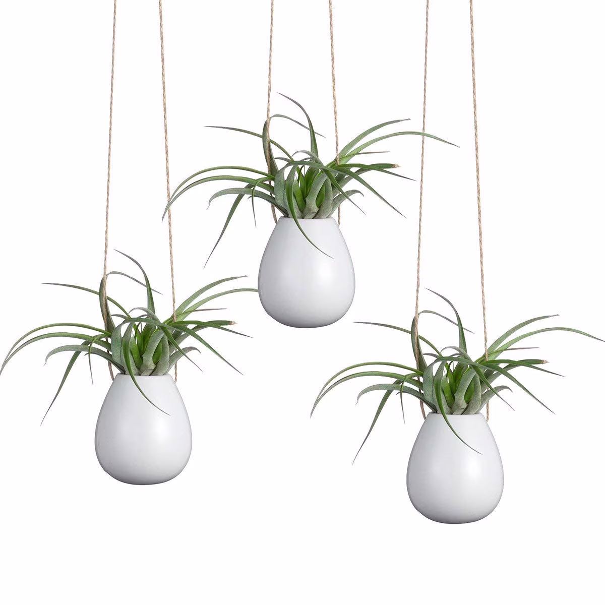 Set Of 3, 4 Or 6 Mini White Hanging Planters, Tiny Ceramic Vases, Plant Hanger, Pots, Pot Holders, Vases