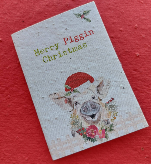 Plantable Seed Christmas Card Individual Luxury Eco Friendly Cards
