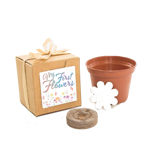 Mini Flower Garden Growing Kit Baby Shower Gift Or Favor, Rainbow First Kit, Homeschool Activity, Diy Seed