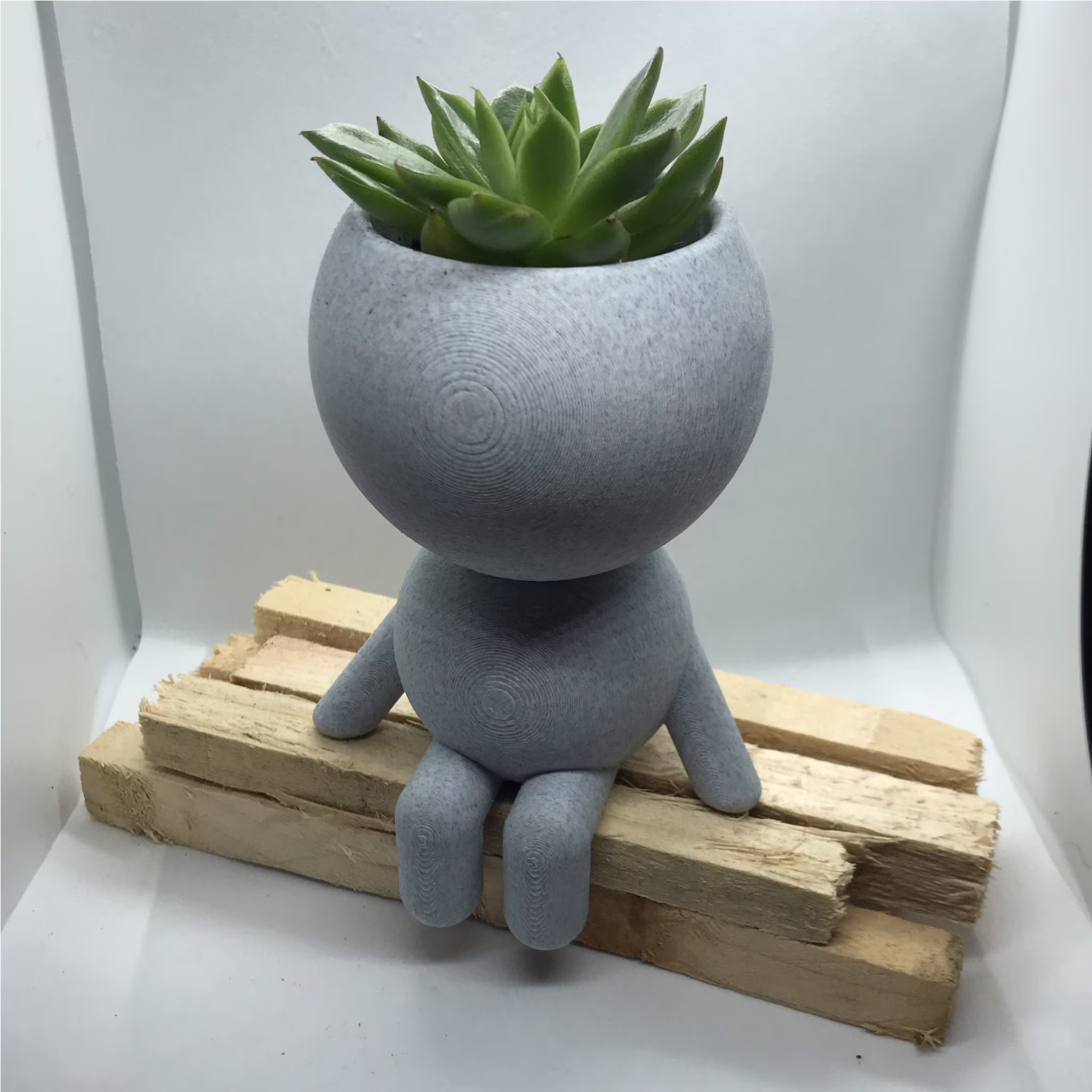 Wee Jimmy Planter