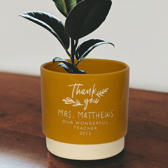 Personalised Teachers Indoor Plant Pot, Say