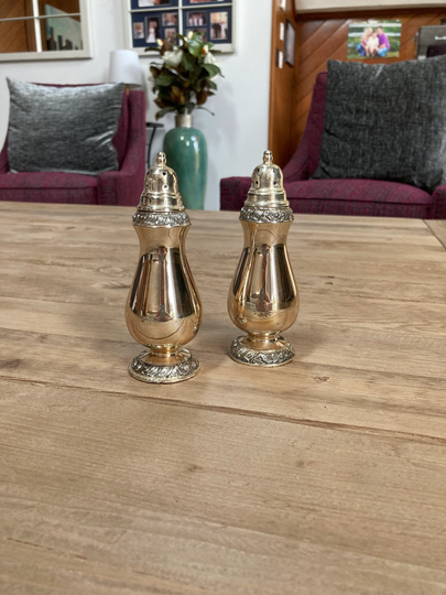 Oneida Tudor Plate - Henley Salt & Pepper