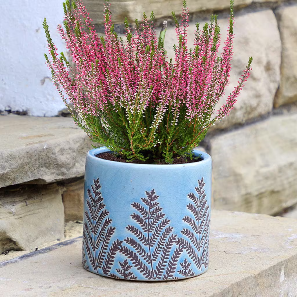 Country Style Sky Blue Fern Detail Ceramic Indoor Outdoor Flower Pot Plantpot Planter