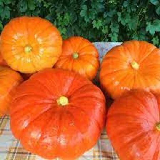 Pumpkin Seeds Candy