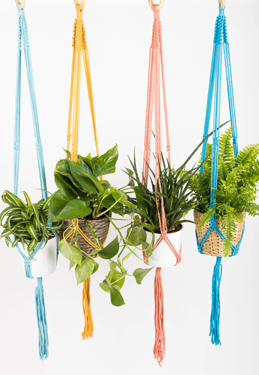 Macramé Plant Hanger | 100cm Long Wooden Ring Cotton Indoor Hanging Basket Blue, Aqua, Pink, Yellow, Lover, Mother's Day Gift