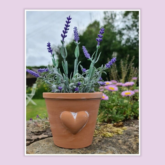 Terracotta Planter With Heart - Large