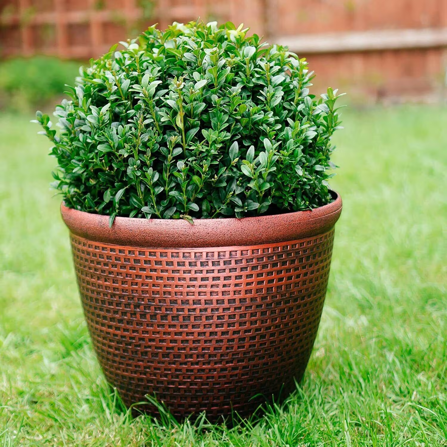 25cm Large Plastic Round Cromarty Planter Antique Copper Plant Flowers Pot Cover