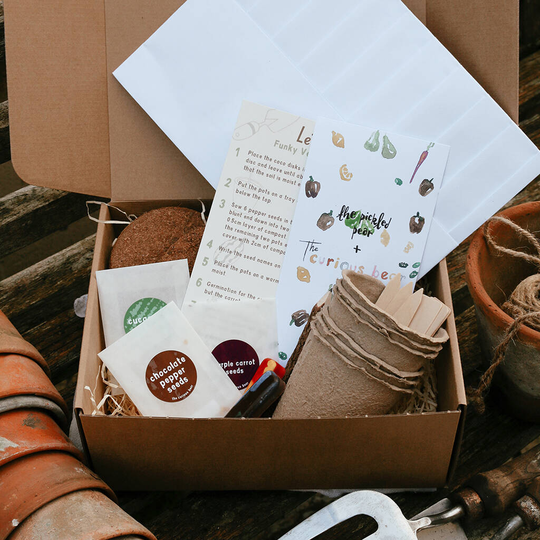 Let's Grow Vegetables Kit