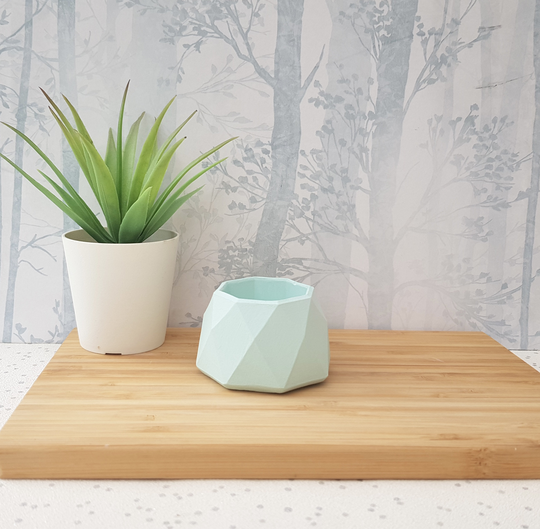 Concrete Pots | Gift Set