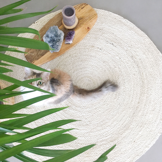 Extra Large Round Jute Rug in Warm White. Ecologic & Herb Dye Rug. Fiber Rugs. Vegan Organic Feng Shui Home