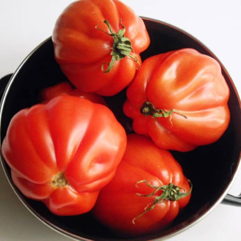 Tomato Campana Canestrino Seeds Heirloom Non Gmo For Planting | 204477