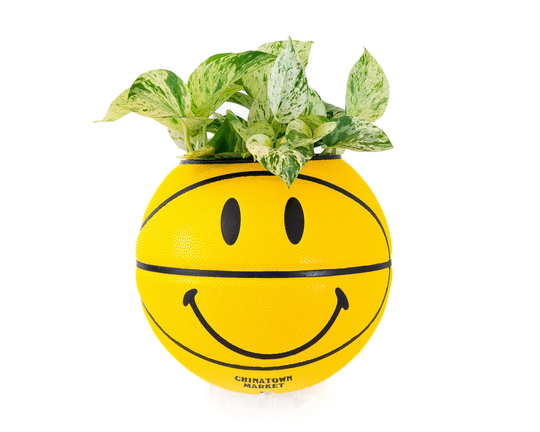 Plntrs - Chinatown Market Smiley Face Basketball Planter Full Size New Ball With Stand