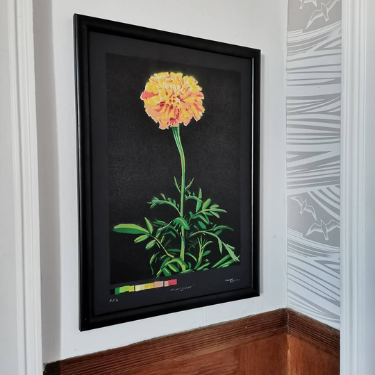 'Marigold' Large Original Handmade Botanical Study