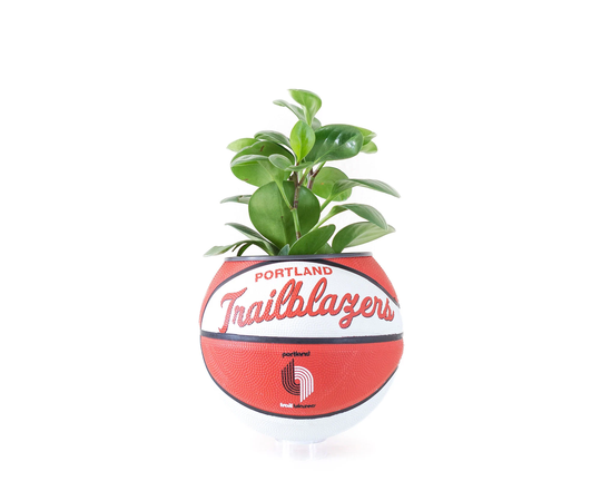 Plntrs - Wilson Portland Trailblazers Hardcourt Classic Mini Basketball Planter New Ball With Stand