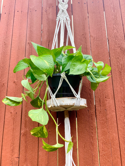Braided Macrame Plant Hanger | Hangers - Vintage Style