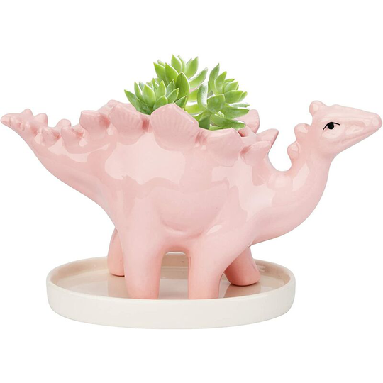Qersta - Ceramic Succulent Pot, Dinosaur Plant Pot, Cactus Flower Pots with Saucer, Mini Indoor Cute Animal Ceramic Pot for Office Home Garden
