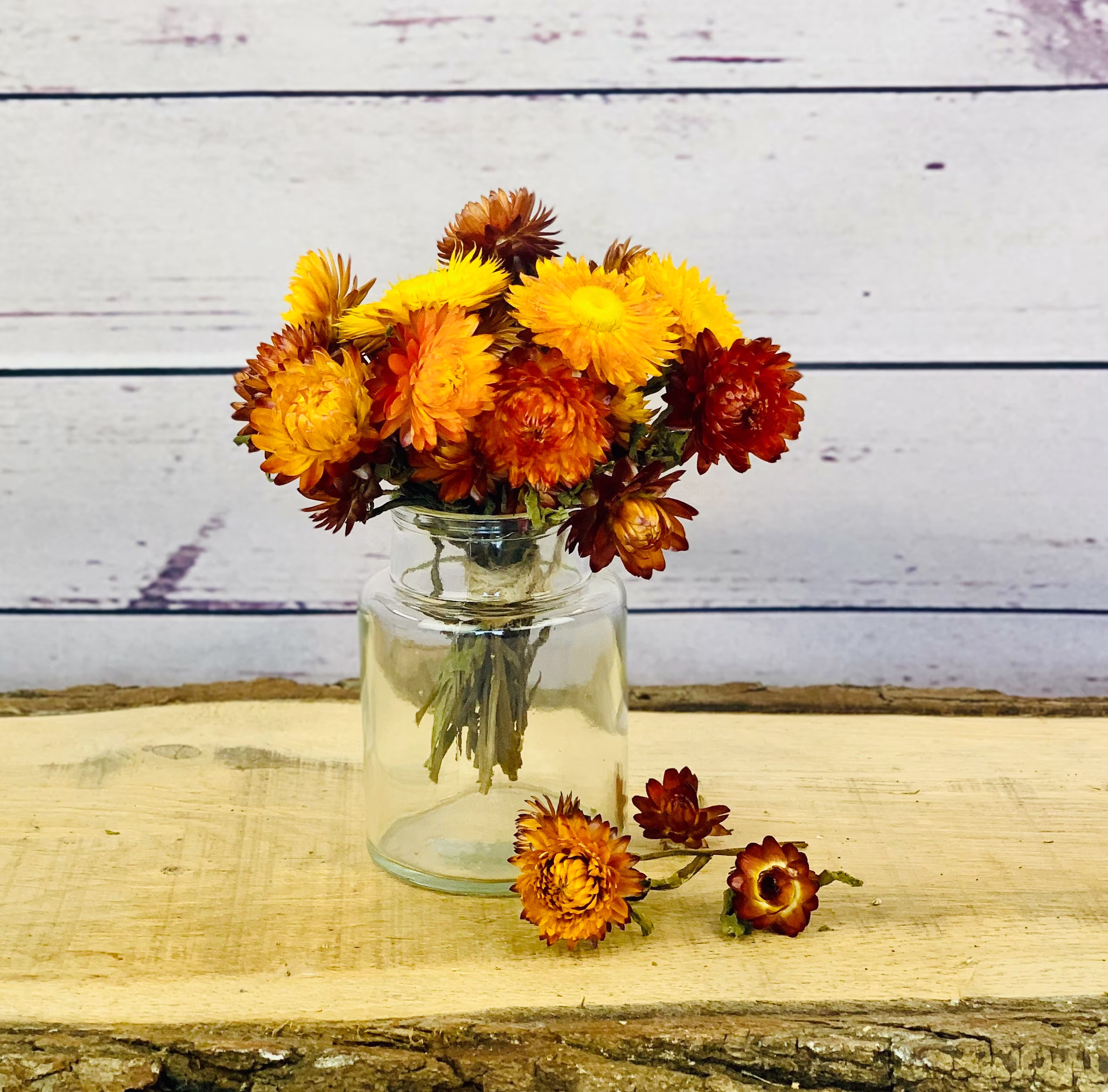 Small Clear Glass Medicine Bottle/Vase With Optional Red Helichrysum Dried Flowers
