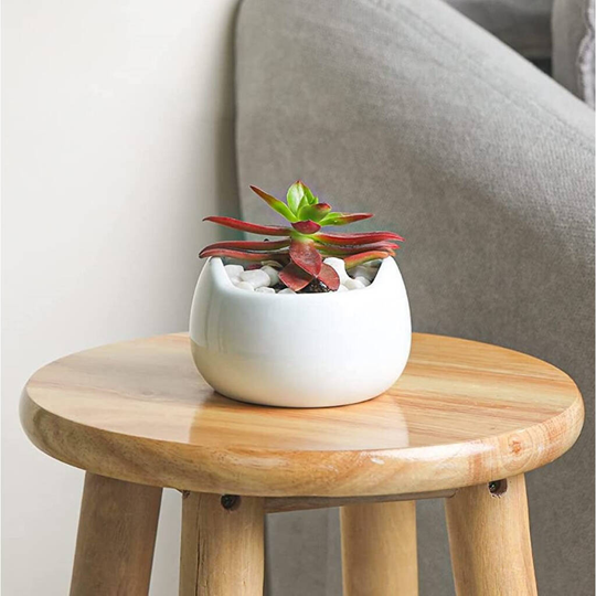 Set Of Six White Ceramic Plant Pots With Drainage Hole