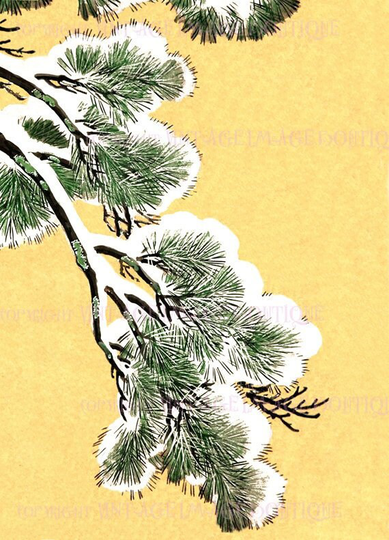 Antique Victorian Japanese Snow Covered Pine Tree Bough Christmas Season Winter Solstice Holiday 5x7 Greeting Card