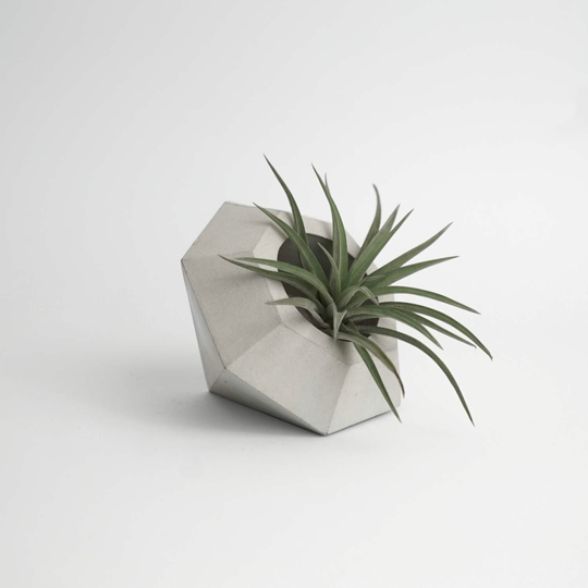 Diamond | Concrete Planter - Pot