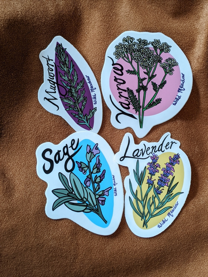 Original Art Stickers Magical Herbs Vintage Inspired Illustration. Yarrow Sage Lavender Mugwort. Weather Resistant Vinyl