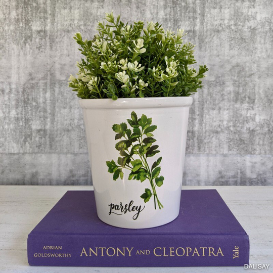 Parsley Herb Planter Pot, 13.5cm